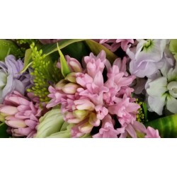 Hyacinth Flowers Bouquet